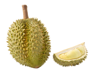 Whole durian fruit and sliced piece isolated on white background tropical exotic flavor