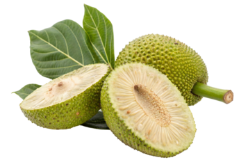 Tropical breadfruit with vibrant green leaves, rich texture and ripe, fresh, organic goodness