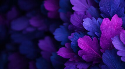 A close up of purple flowers with a blue background
