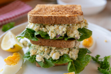 Delicious cottage cheese egg salad sandwich on whole wheat toast