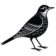 Fototapeta premium Lark single vector shilhouette 
