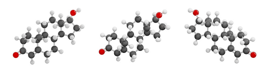 Testosterone molecule isolated on transparent background. Detailed 3D model of a human hormone. Set of views. Molecular formula: C19H28O2. Chemical model: Ball and Stick. 3D illustration