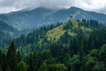Hilltop fire watchtower in a mountain forest setting