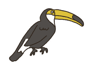 브라질에서 볼 수 있는 큰부리새 일러스트