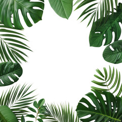 Vibrant tropical leaves arranged in a decorative border isolated on transparent background