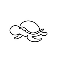 vector illustration of a turtle
