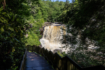 Photo of the Blackwater Falls State Park Davis West Virginia in the summer