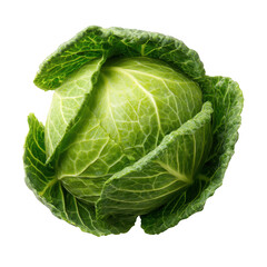 Fototapeta premium Fresh green cabbage vegetable isolated on transparent background