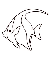 fish vector illustration sea fish sketch icon