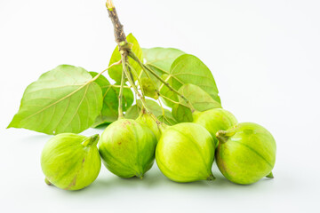 Fresh tung fruit on white background