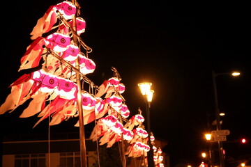 点灯された金魚提灯