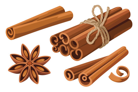 Aromatic cinnamon sticks and star anise spice arrangement on white background