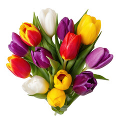 Vibrant bouquet of mixed color tulips isolated on transparent background
