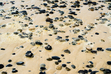Pebbles scattered on a sand beach at low tide with foam