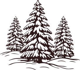 Fototapeta premium Hand drawn evergreen pine trees with snow isolated on white background vintage winter forest illustration