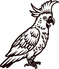 Hand drawn black and white cockatoo illustration with crest and detailed feathers isolated on white background