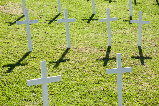 Rows of white memorial crosses