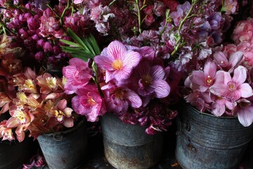 New blooms and orchids