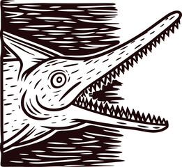 Vintage engraved illustration of prehistoric marine reptile head with sharp teeth isolated on white background