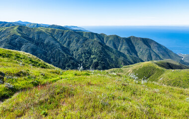 Sweeping ocean and mountain views from the Soberanes Canyon Trailhead in Garrapata State Park, along California scenic Highway 1, on a clear spring day surrounded by fresh green hills