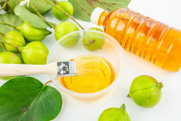 Fresh tung fruit and tung oil on white background