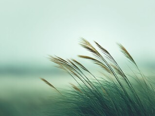 Motion blur photography of tall grass swaying in nature soft light blurred background for tranquil aesthetic