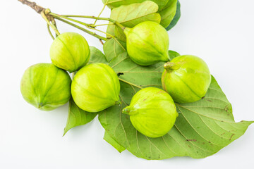 Fresh tung fruit on white background