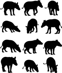 Tapir Silhouette Pack 12 Jungle Mammal Vector Poses