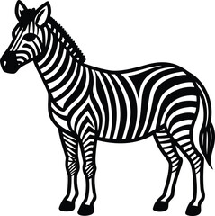 Black and white striped zebra mammal standing in profile, a wild animal illustration isolated on a white background ,eye, nostrils, pose, neck, body, silhouette