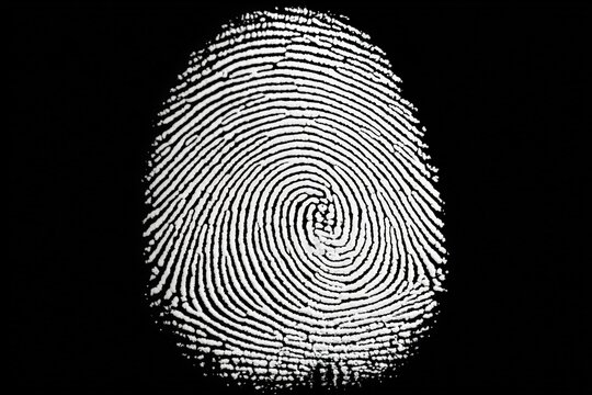 Close-up of a detailed white fingerprint print on black background showing unique ridges and core pattern for biometric identification