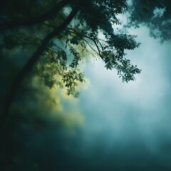 Soft blurred photography of a green forest canopy nature scene tranquil environment serene viewpoint