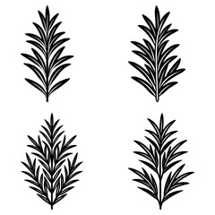 Obraz premium Four stylized black rosemary sprigs arranged in a square pattern on a white background image design