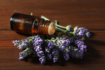Bottle of lavender essential oil and flowers on wooden table, closeup