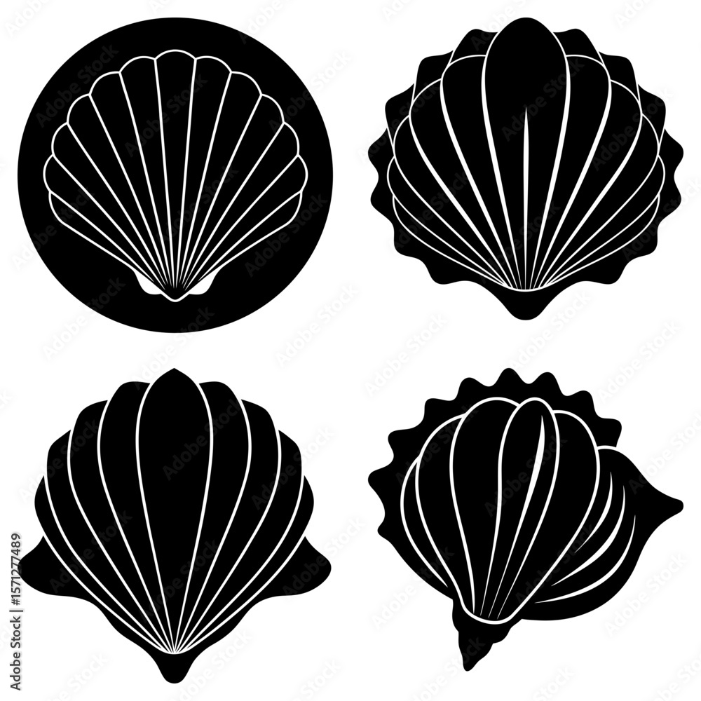 Poster four black and white shell illustrations with different shapes and styles in a square format layout 