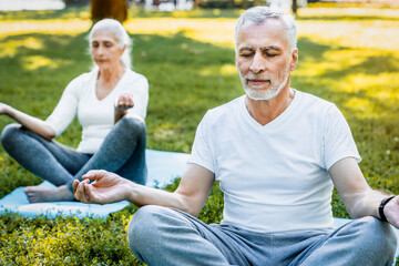 Portrait, meditation and senior couple retired people in a park yoga zen and happiness with exercise workout outside. Face, mature man old woman outdoor, fitness wellness, balance healthy lifestyle