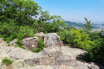 山の風景