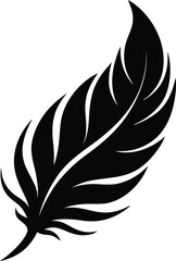 Obraz premium phoenix feather on white background.eps
