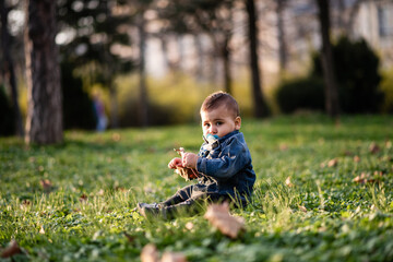 Baby boy sitting on grass holding dry leaf in park