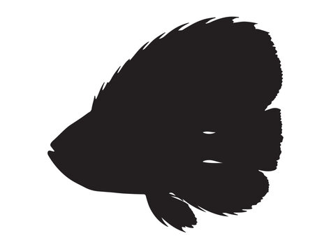 Boiga irregularis Silhouette black Vector Image white background