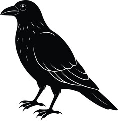 Fototapeta premium raven on white background.eps