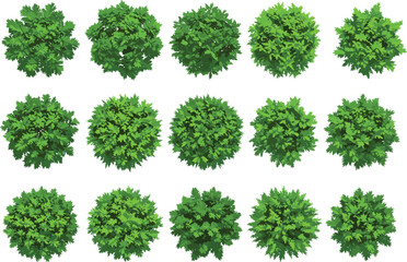 Top view green bushes set, realistic shrubs, lush foliage, landscape garden elements, natural leaf plants for outdoor design use