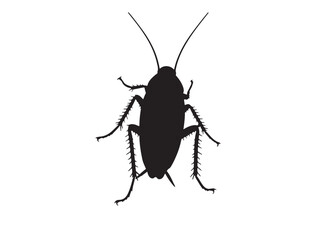 Cockroach Silhouette black Vector Image white background