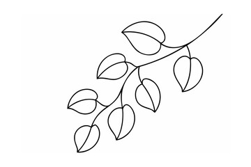 Delicate branch with oval leaves botanical outline