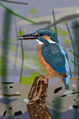 Illustration of a kingfisher