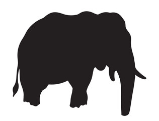Loxodonta Silhouette black Vector Image white background