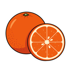 Fresh Orange Fruit and Slice, Citrus Vector Illustration