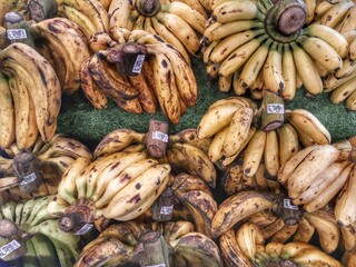 Bandung, indonesia, June 23, 2025: A vibrant collection of various banana types, from green to ripe...