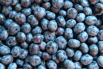 Fresh Blueberries Background. Piled Blueberry Spinning Backdrop. Sweetest Delight. Vibrant closeup of plump ripe blue berries are healthy recipes, snacks. Full frame. Ideal for food, health, nature