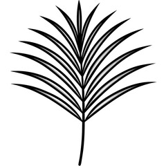 Palm leaf line art vector illustration 