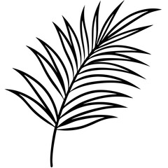 Palm leaf line art vector illustration 